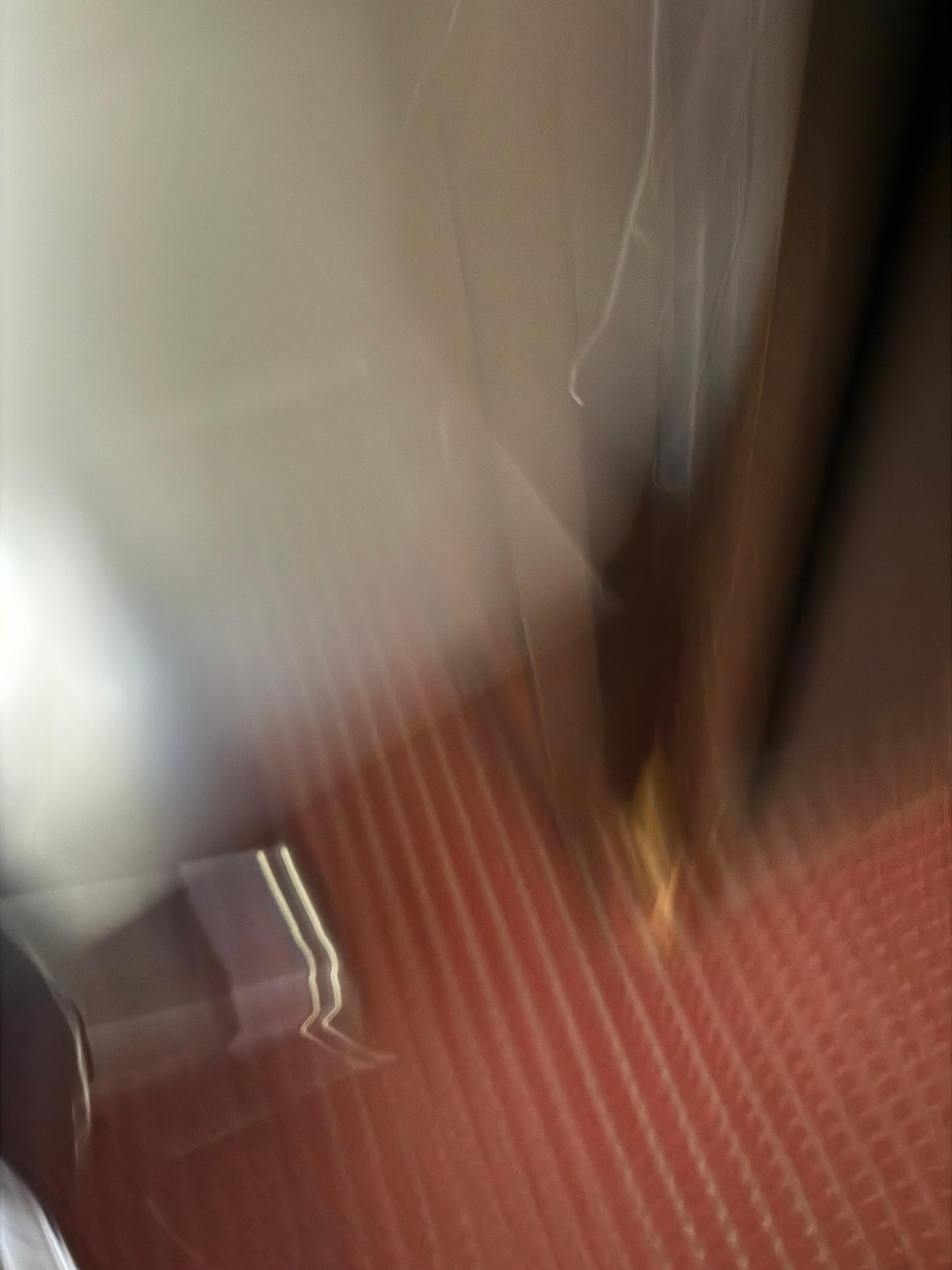 Wooden furniture chewed on by pets and broken.