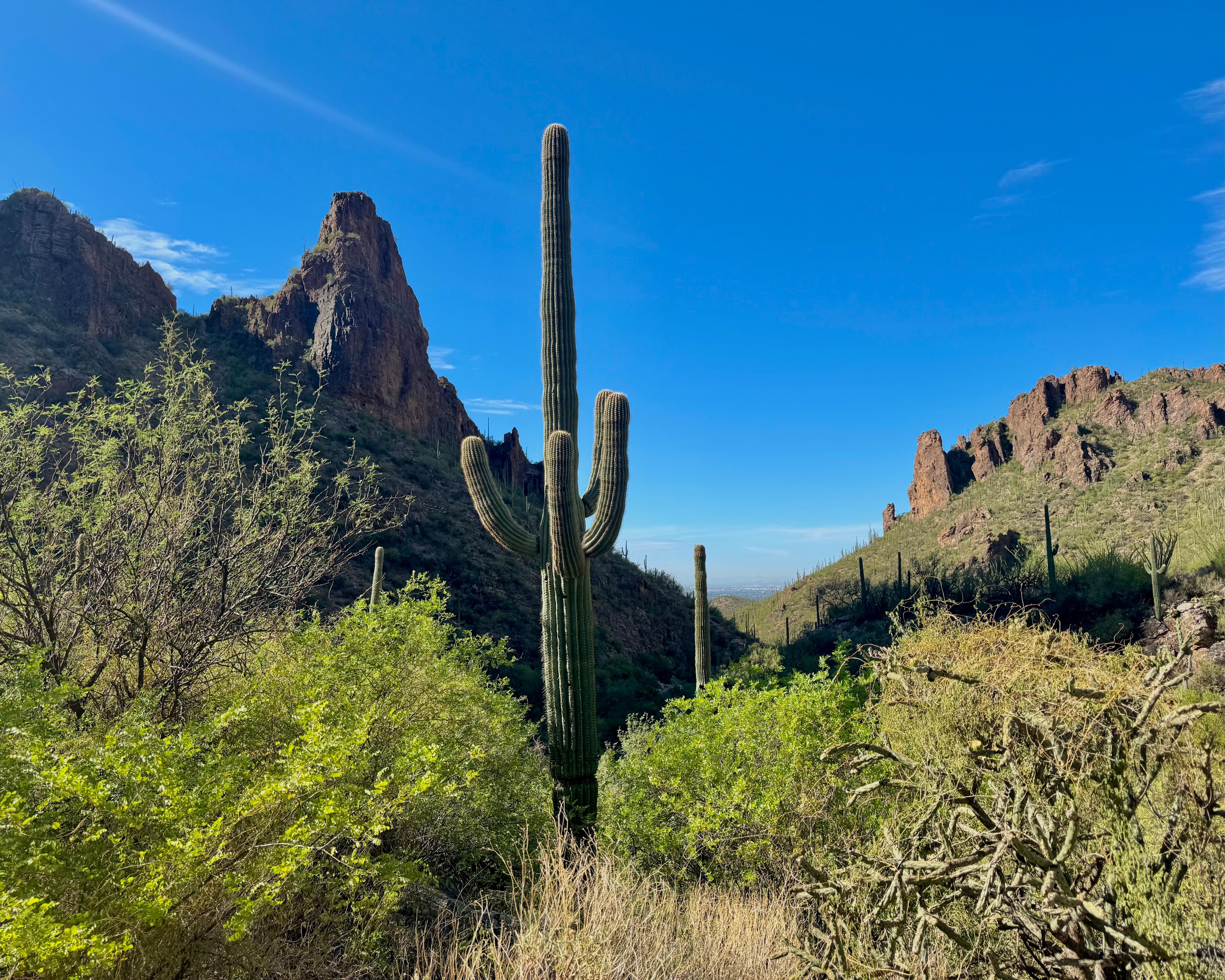 Canyon hike from complex.