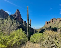 Canyon hike from complex.