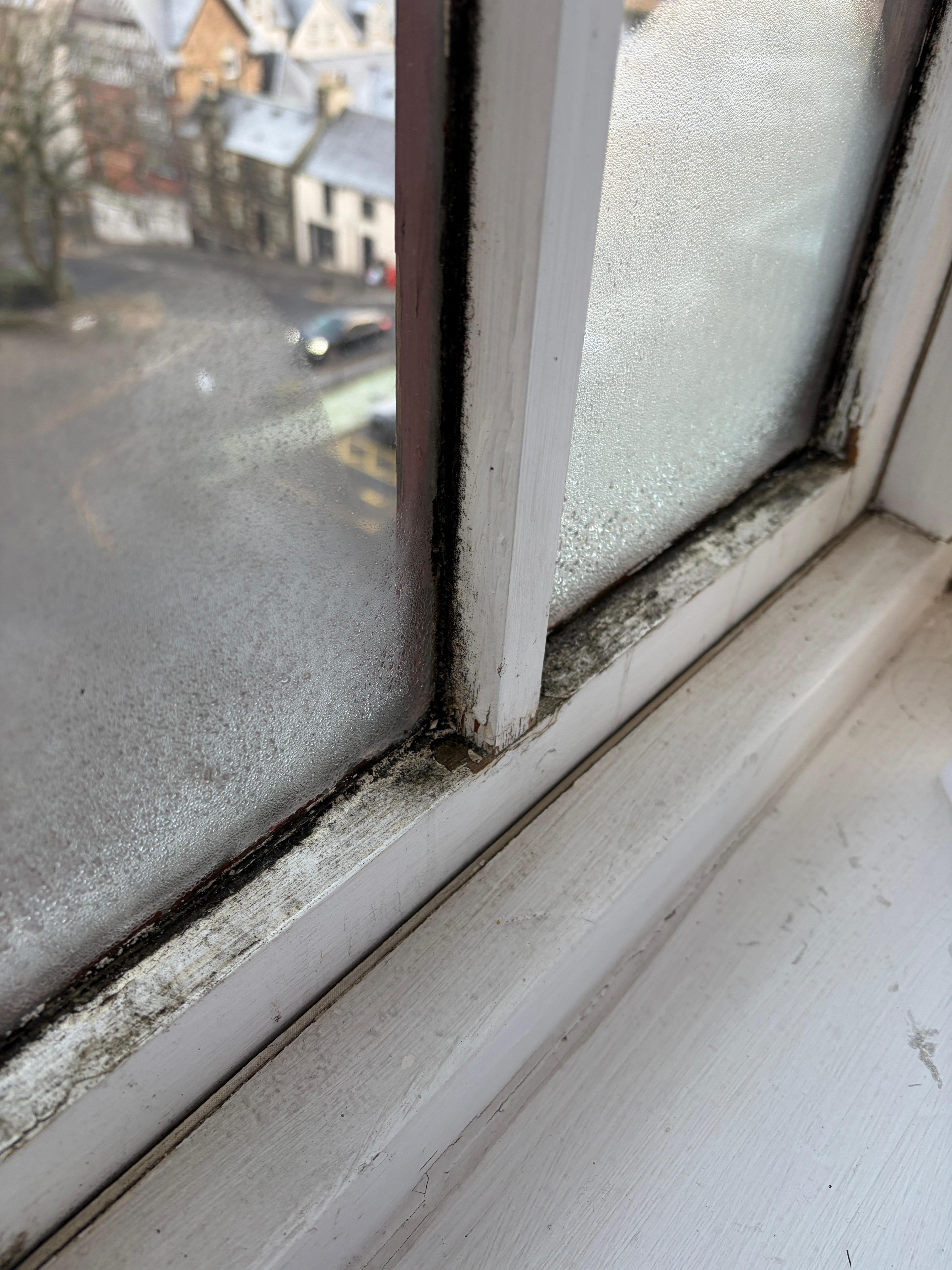 Bedroom windows look great. Black mould and rott