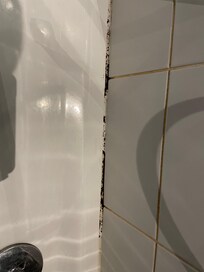 Schimmel Dusche