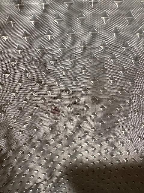 Shower curtain blood stain