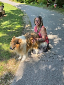 The neighbor's dog often joined us on our daily walks