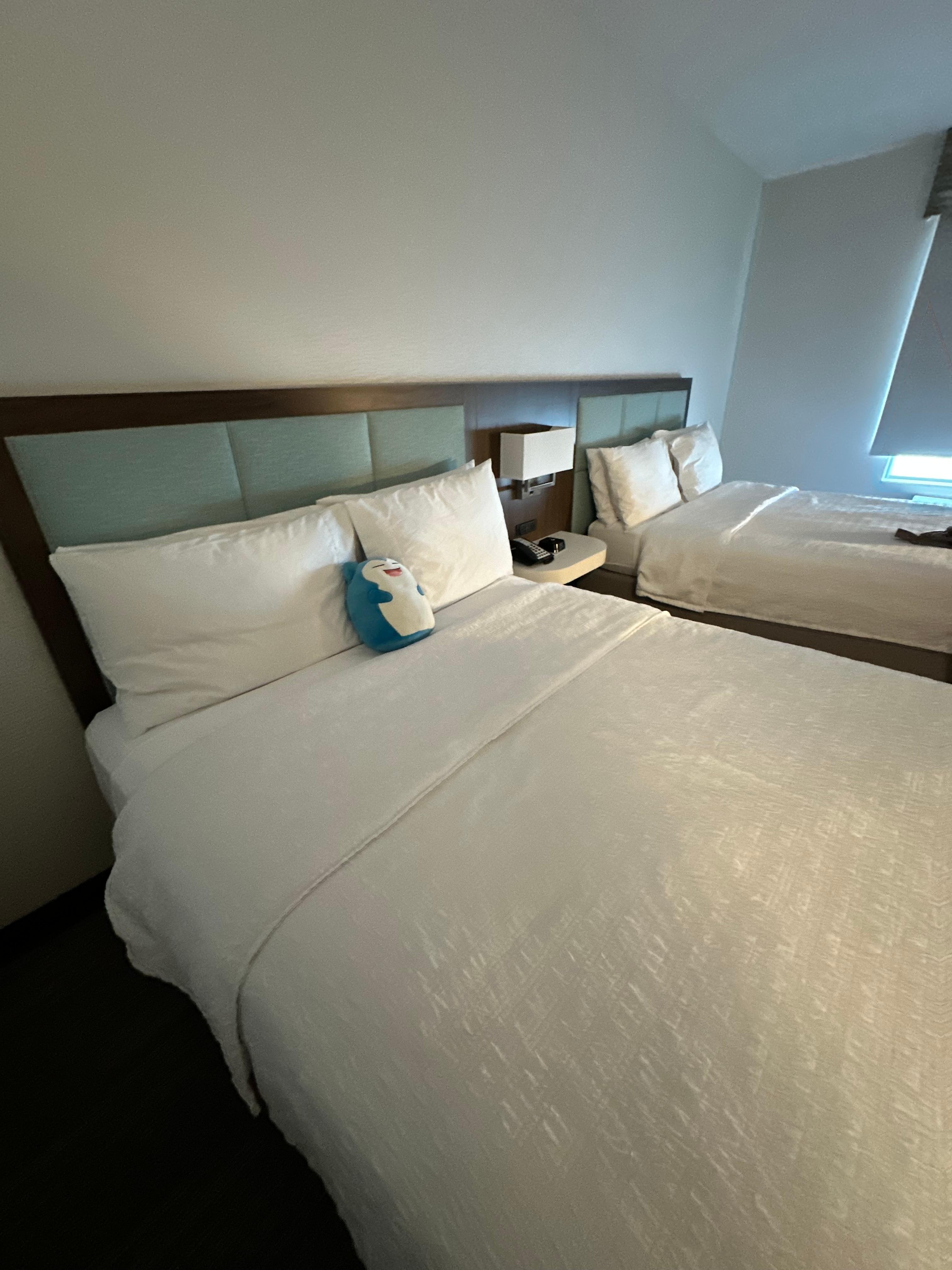 Two queen beds (Snorlax plush is ours)