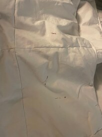 Dirty/stained bedding