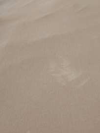 Dirty bedding