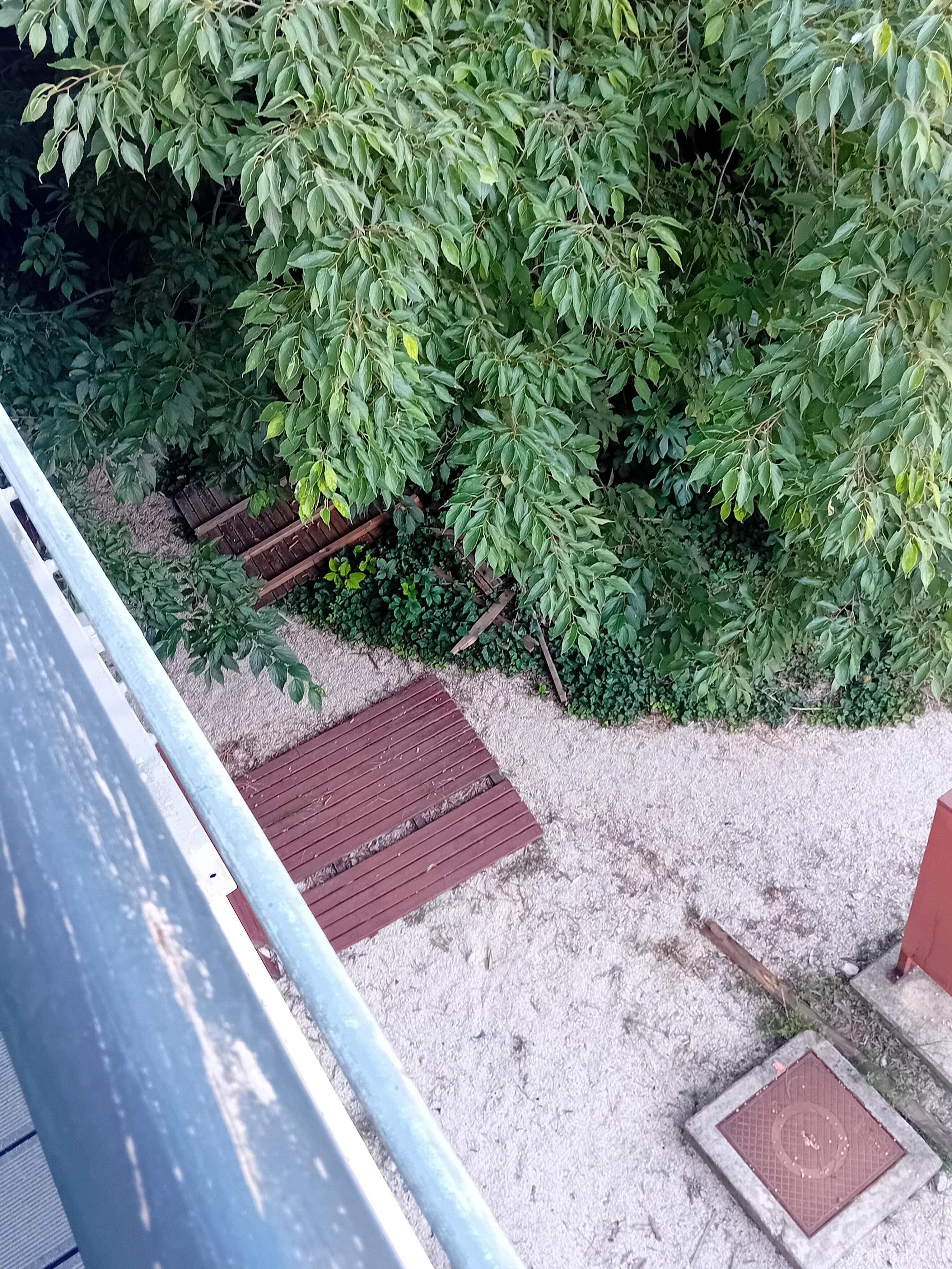View from room 104. This was the hotel grounds. Not as described/ not a luxury hotel. Like looking into a scrap yard.