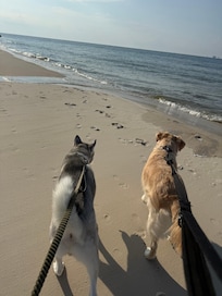 Just a few steps from the house to the beach