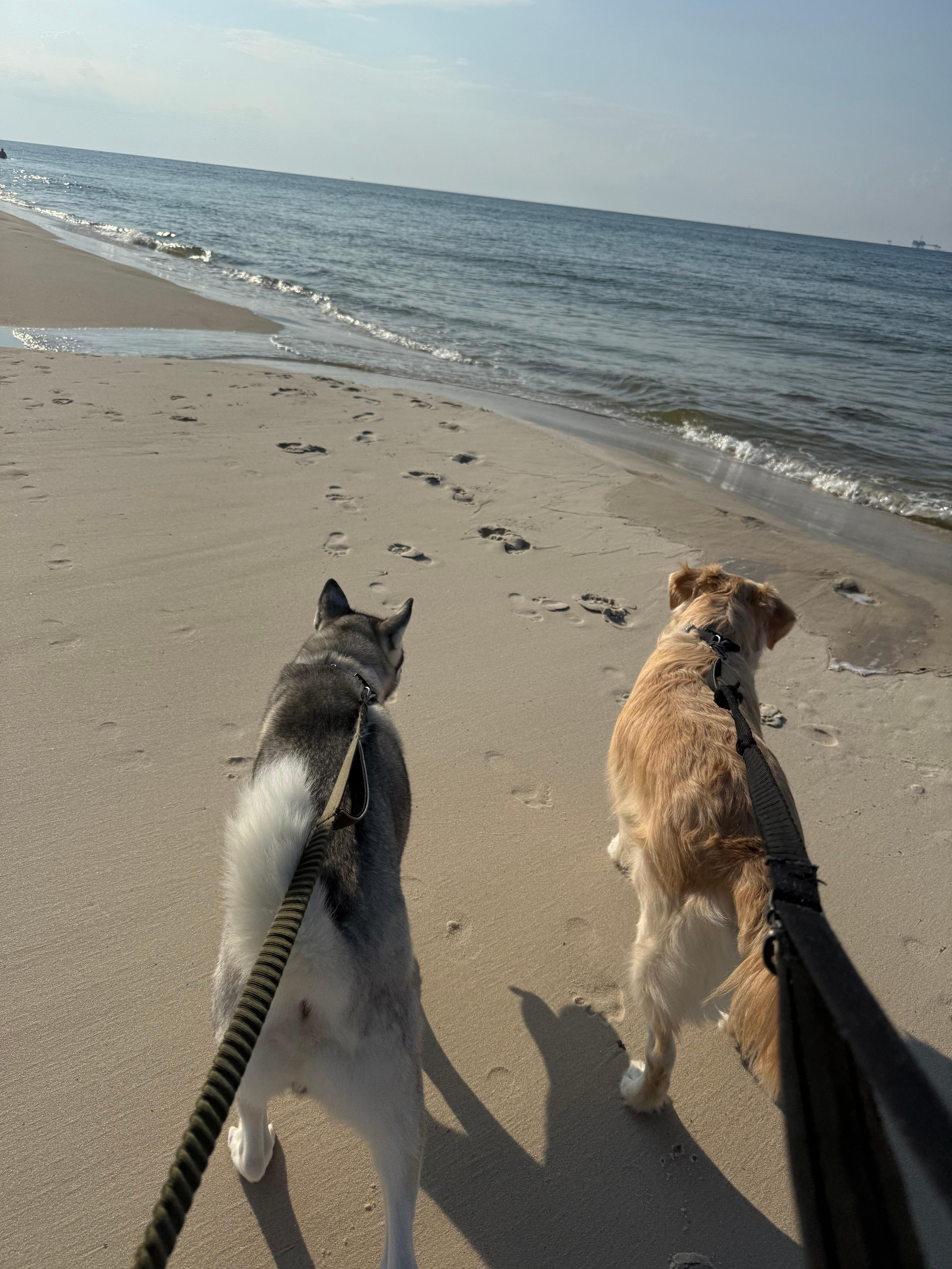 Just a few steps from the house to the beach