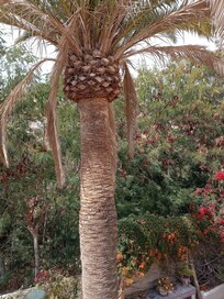 Right outside the door of the apartment