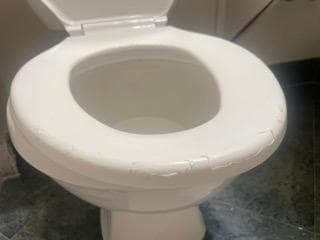 Peeling toilet seat