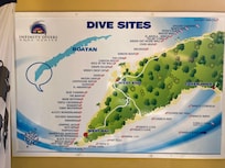 So many great dive locations close to shore