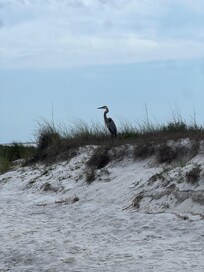 Boat ride from the beach
