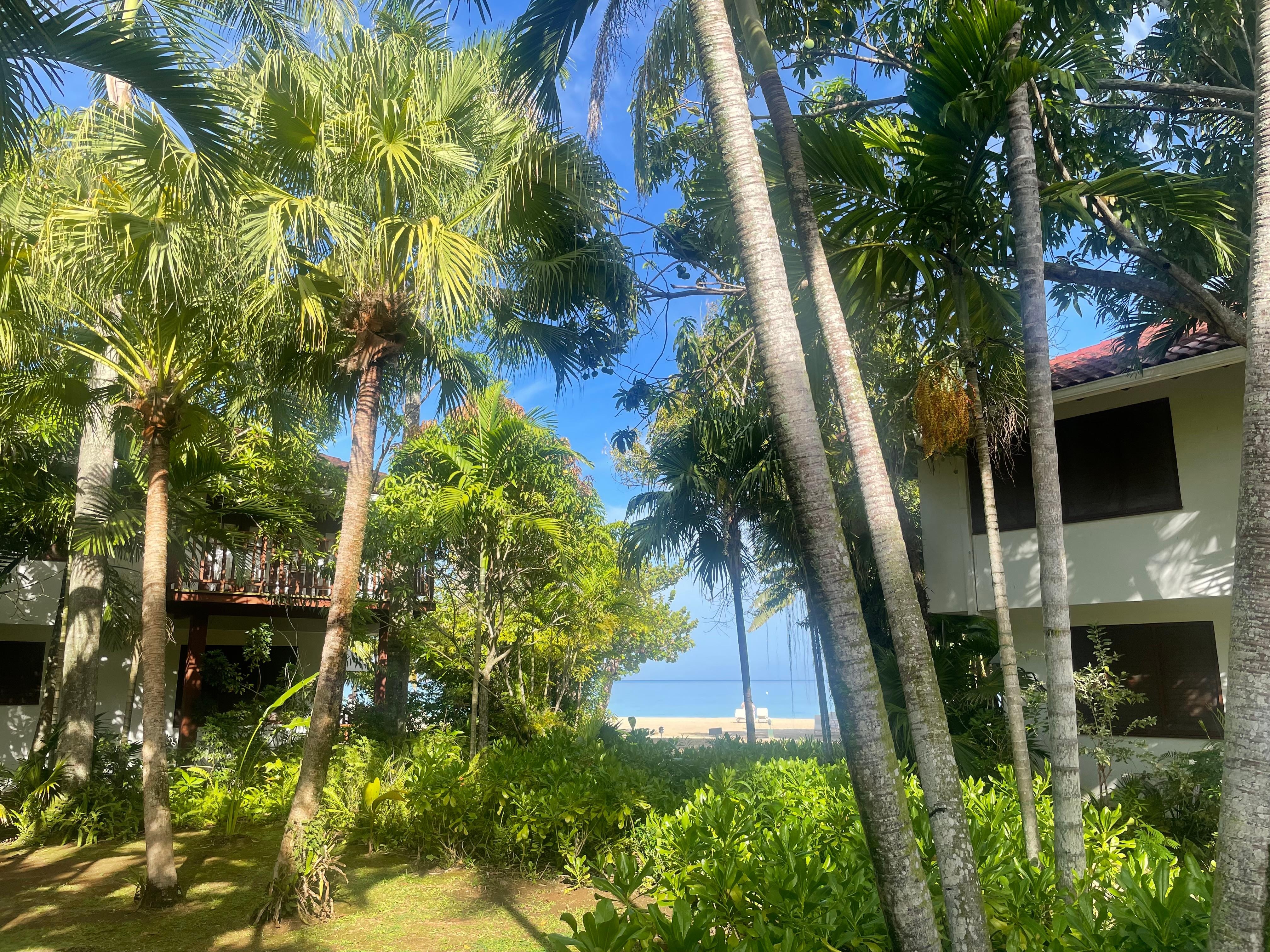 Halfway between lobby and beach (