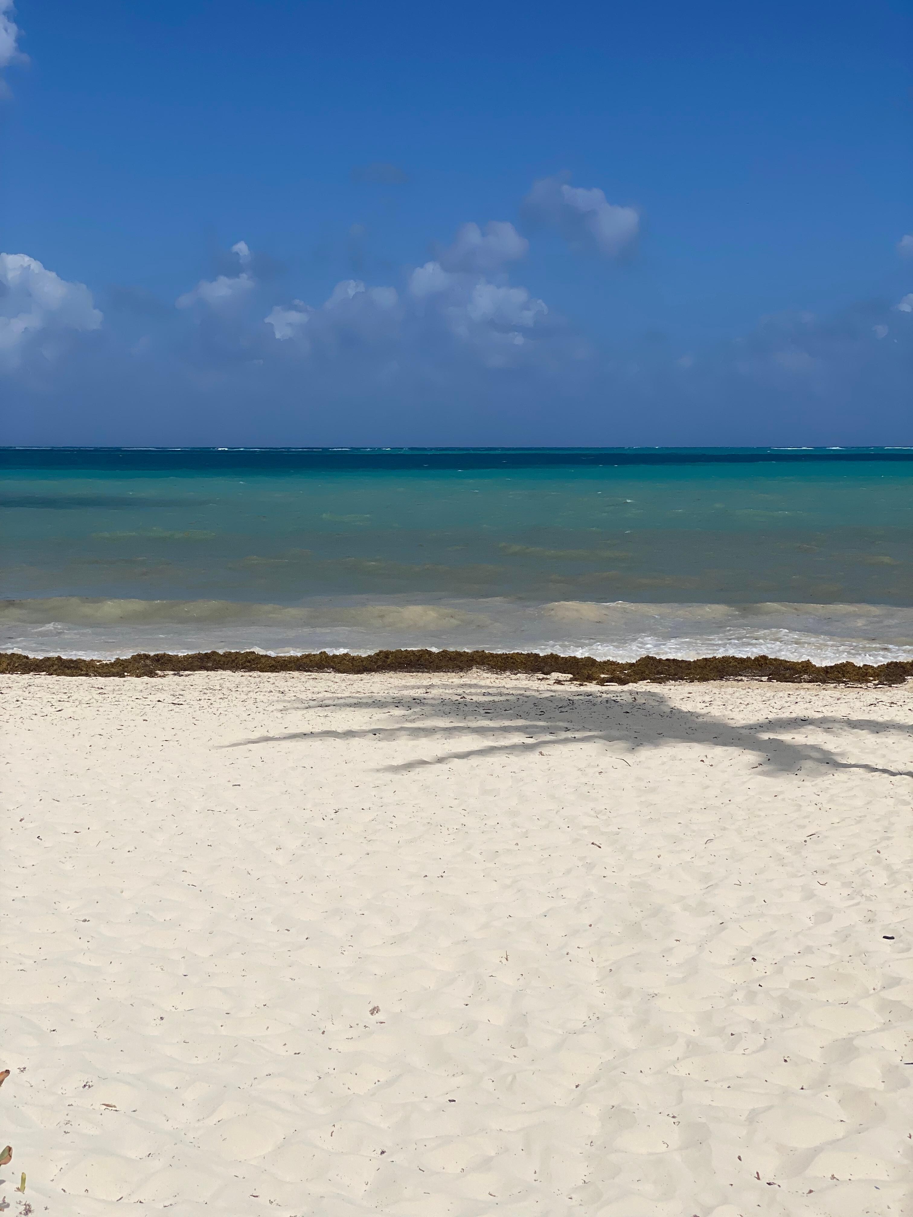 Beach area