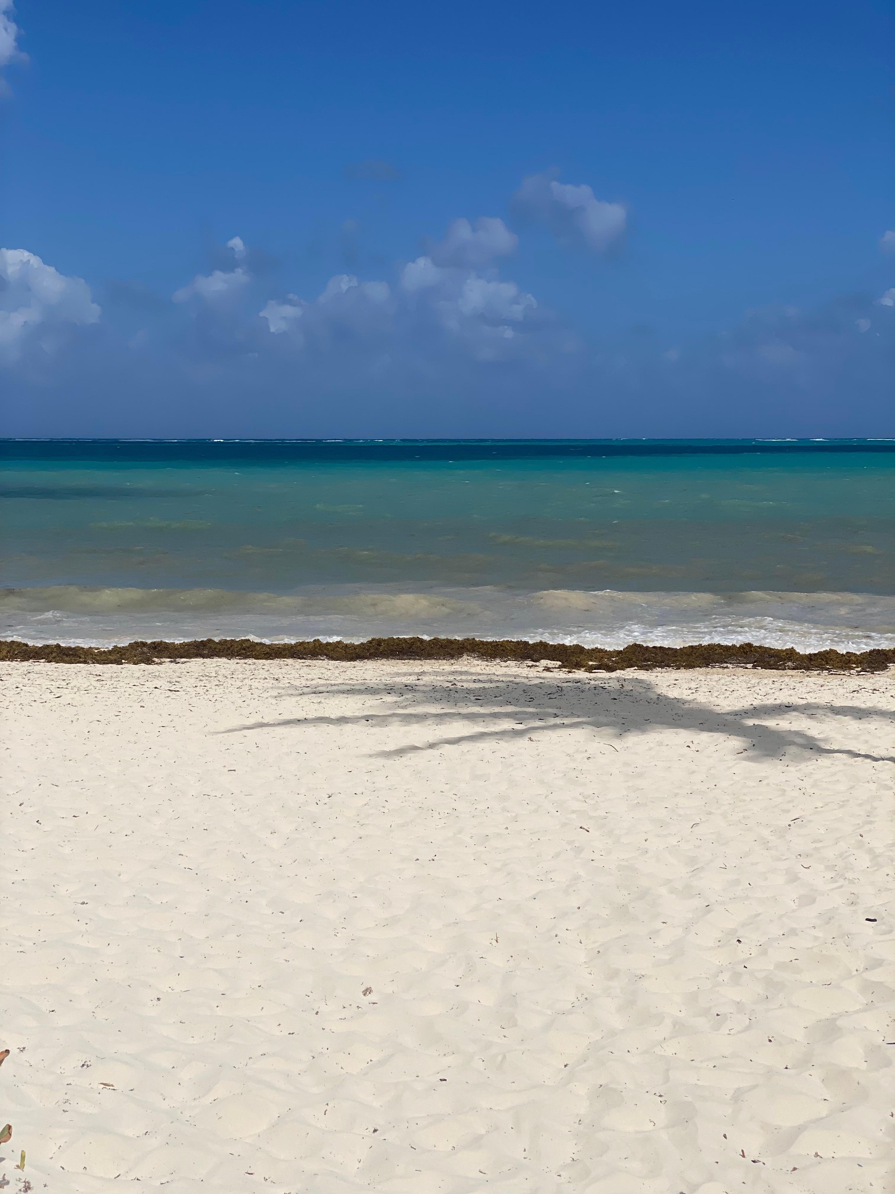 Beach area