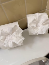 Decorative toilet paper nice touch!