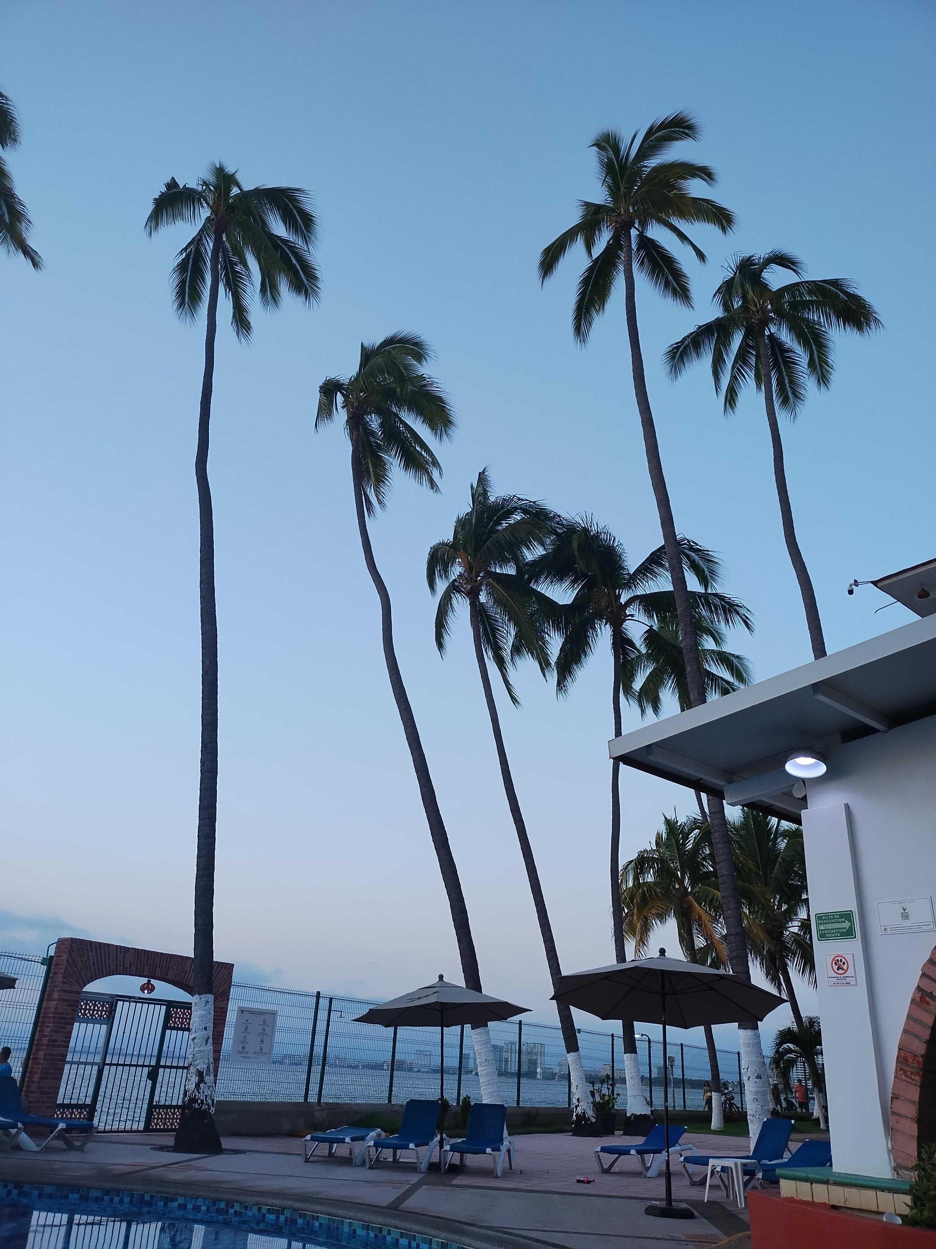 My view from the pool.