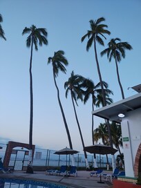 My view from the pool.