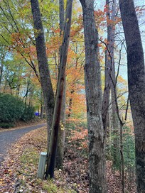 Looking down the road from the house