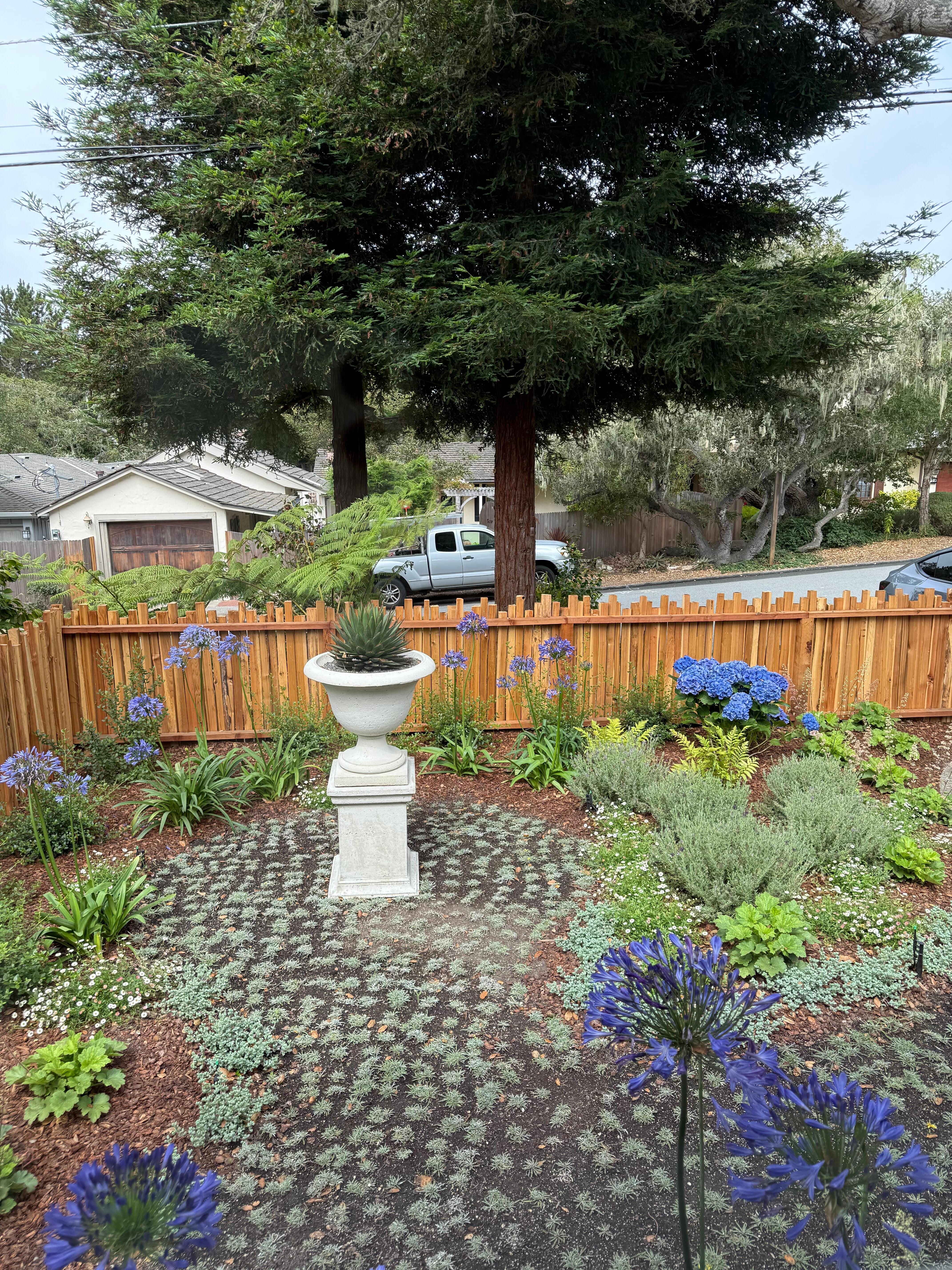 Front yard filled with flowers