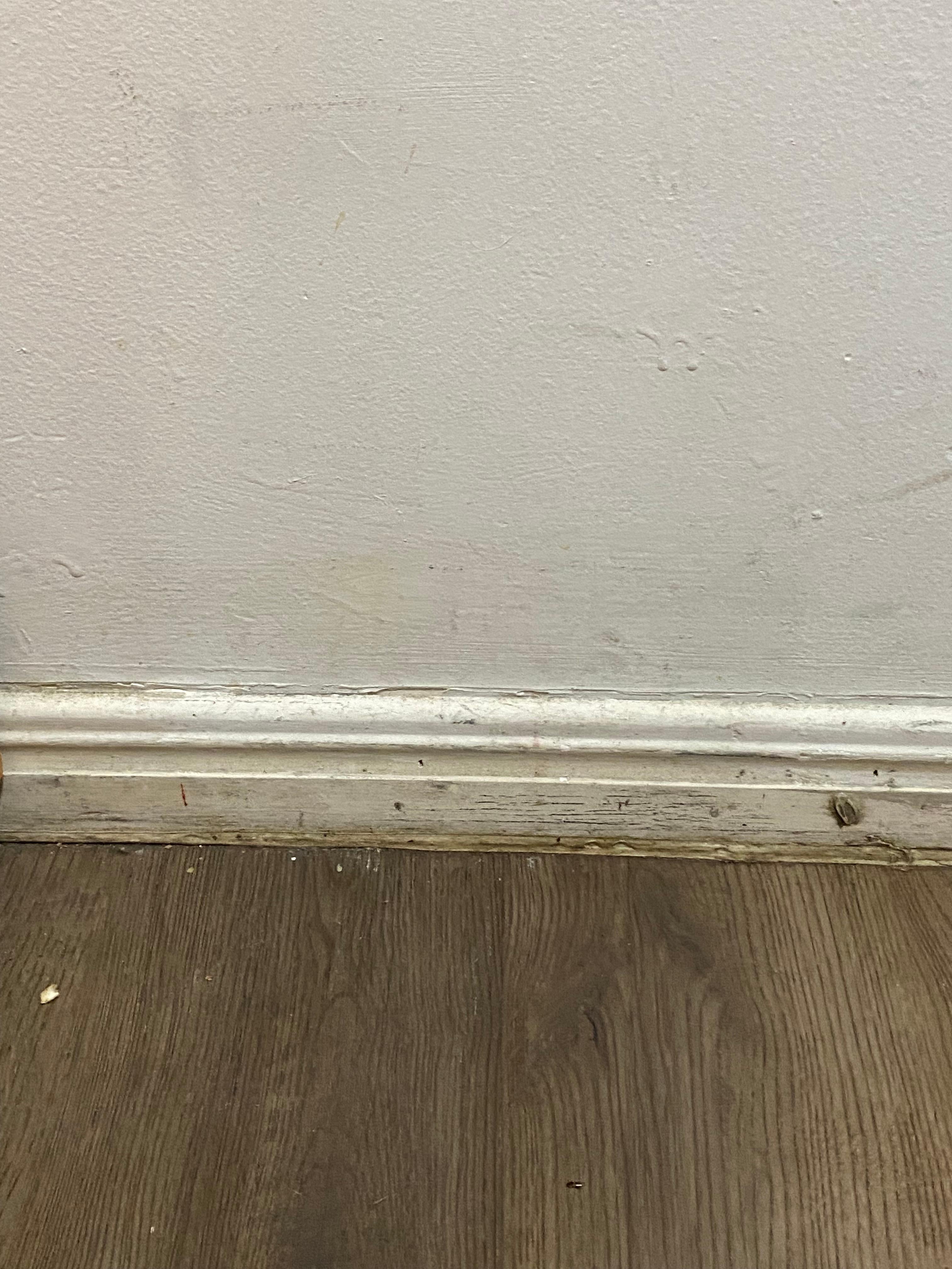 Bedroom mold