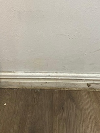 Bedroom mold