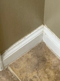 This is in the one and only bathroom. Disgusting. The wall was just as dirty.