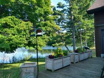 Facing the tree and lake. Hummingbirds were busy at the feeder.