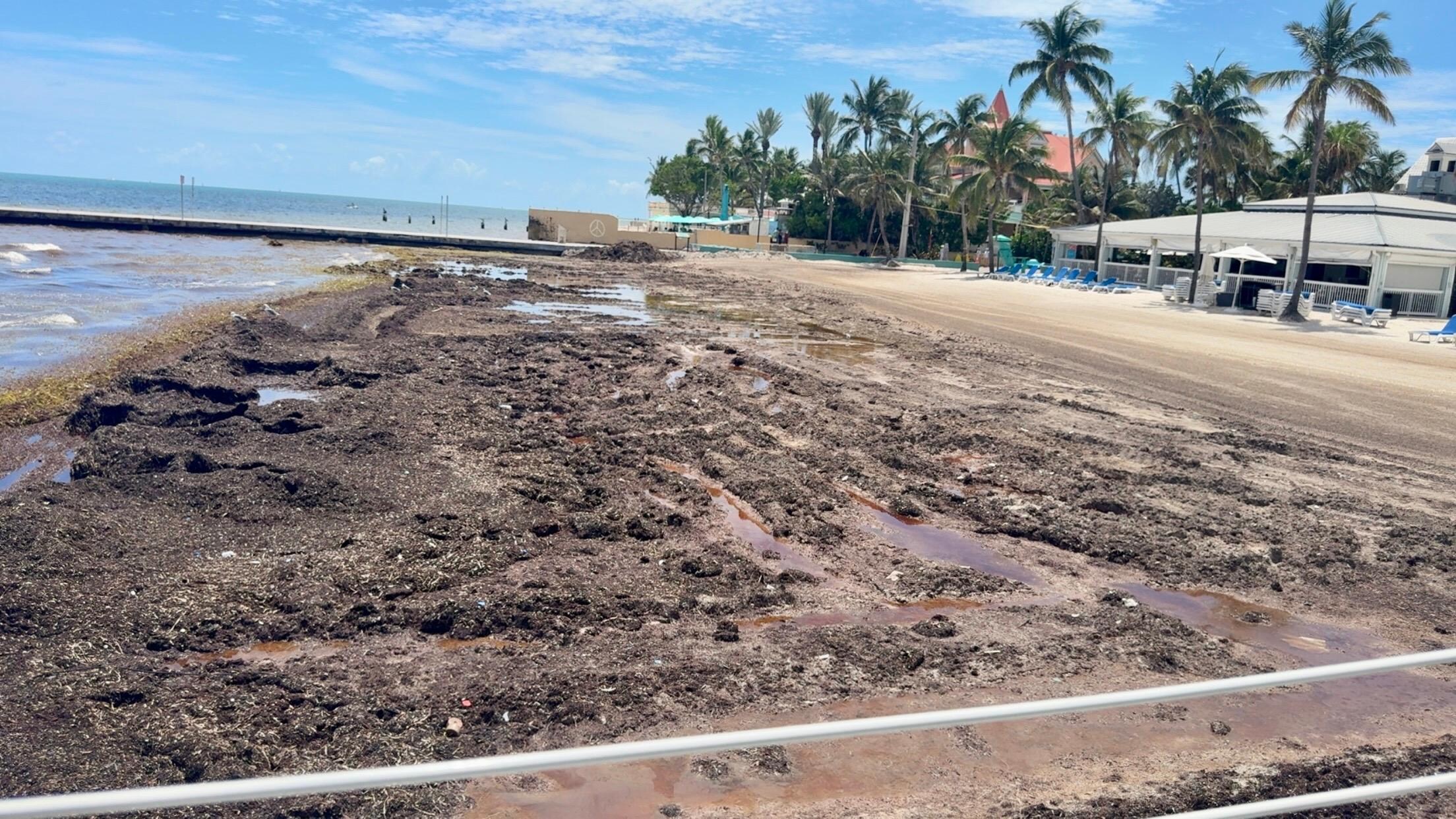 Super disappointed in the private beach area. Really the reason we booked this resort and it was in rough condition and was basically told they don’t maintain it from June - August. Smelled awful because of al the seaweed and was an eyesore.