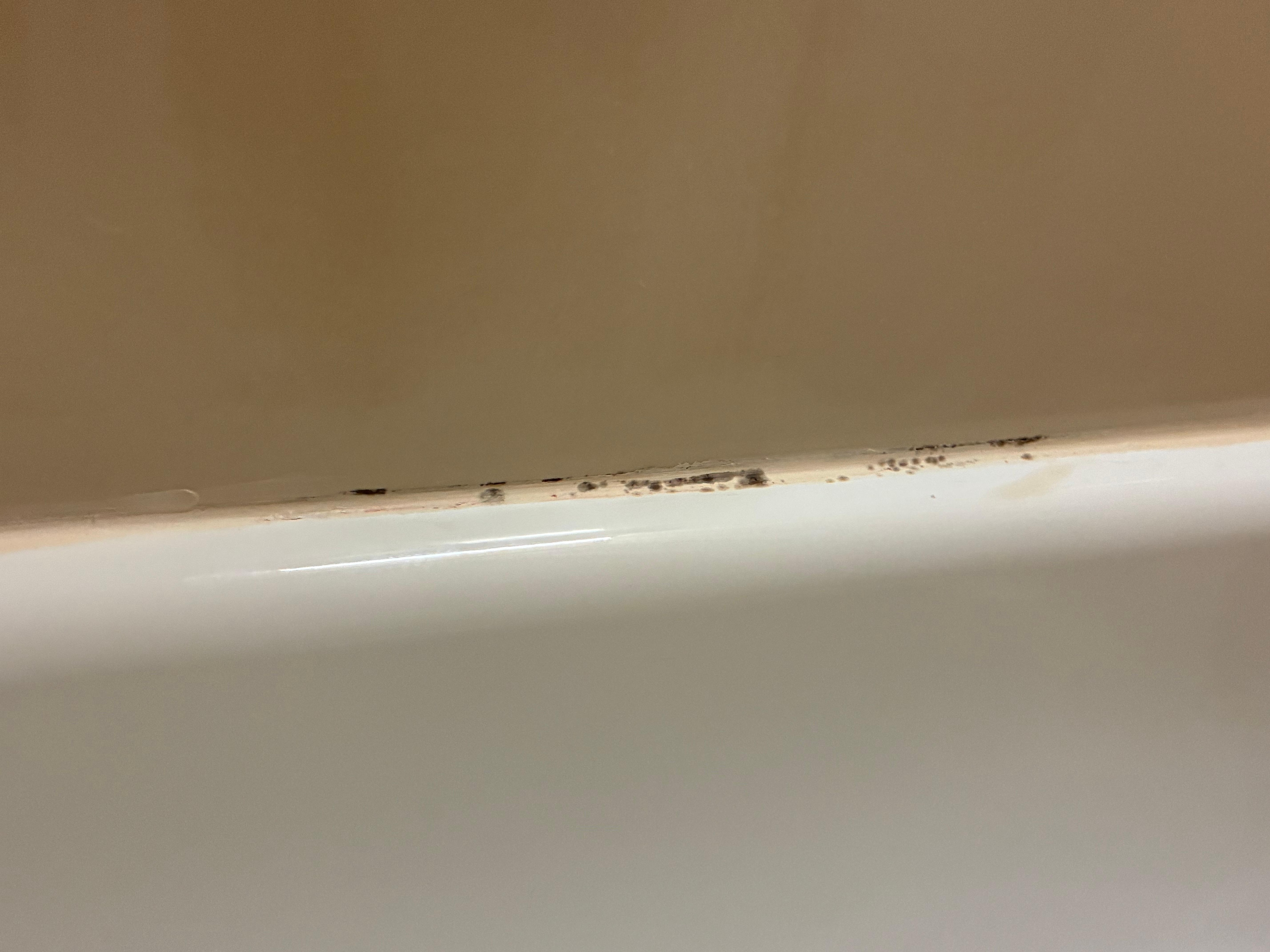 Mold in the tub 