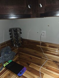 Roach bugs creating on walls and counters.
