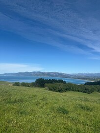 Viewing platform down the road