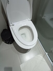 Lunette de WC qui nécessitent de faire de l'équilibrisme (en plus d'être de travers elles ne tiennent pas)