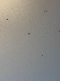 Ceiling marks from a cane?