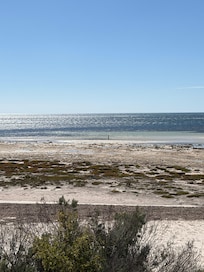 View from the back door