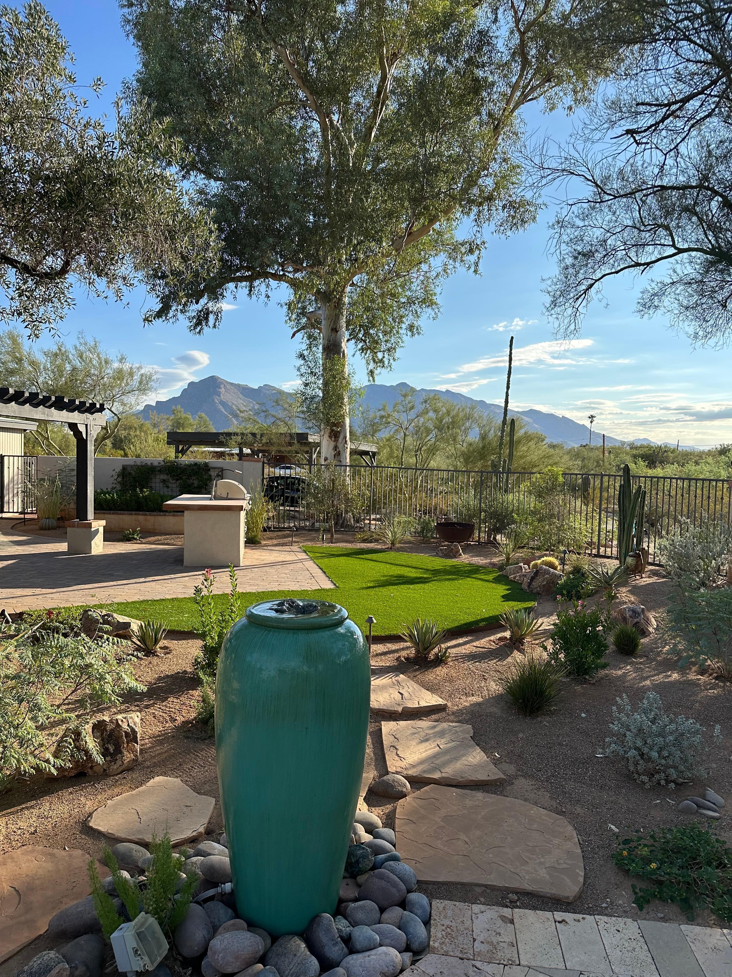 Backyard with view of Catalinas