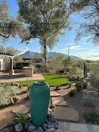 Backyard with view of Catalinas