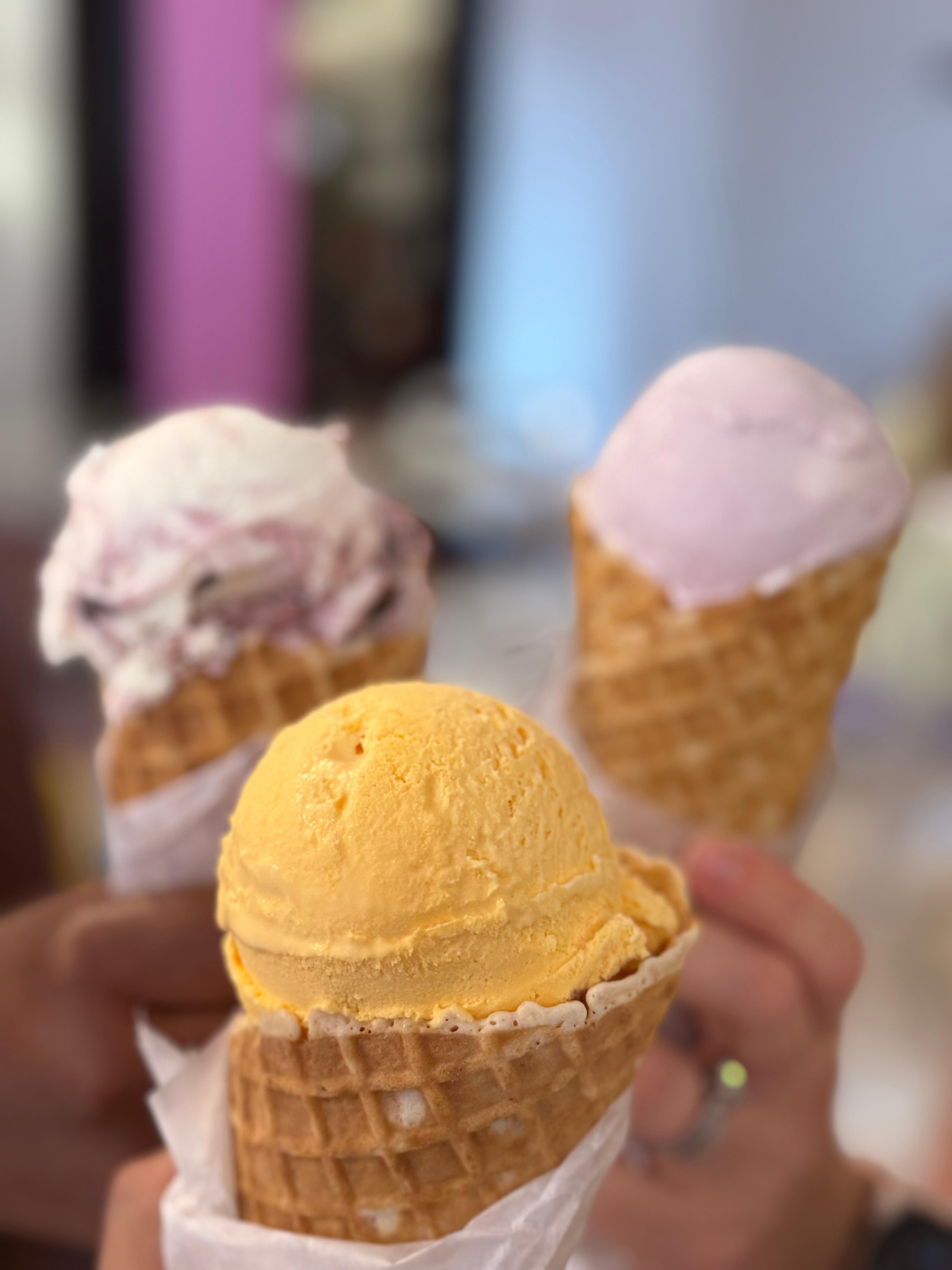 Moo Hope for the win!