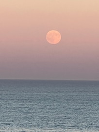 The super moon!