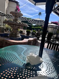 Love the sound of the fountain