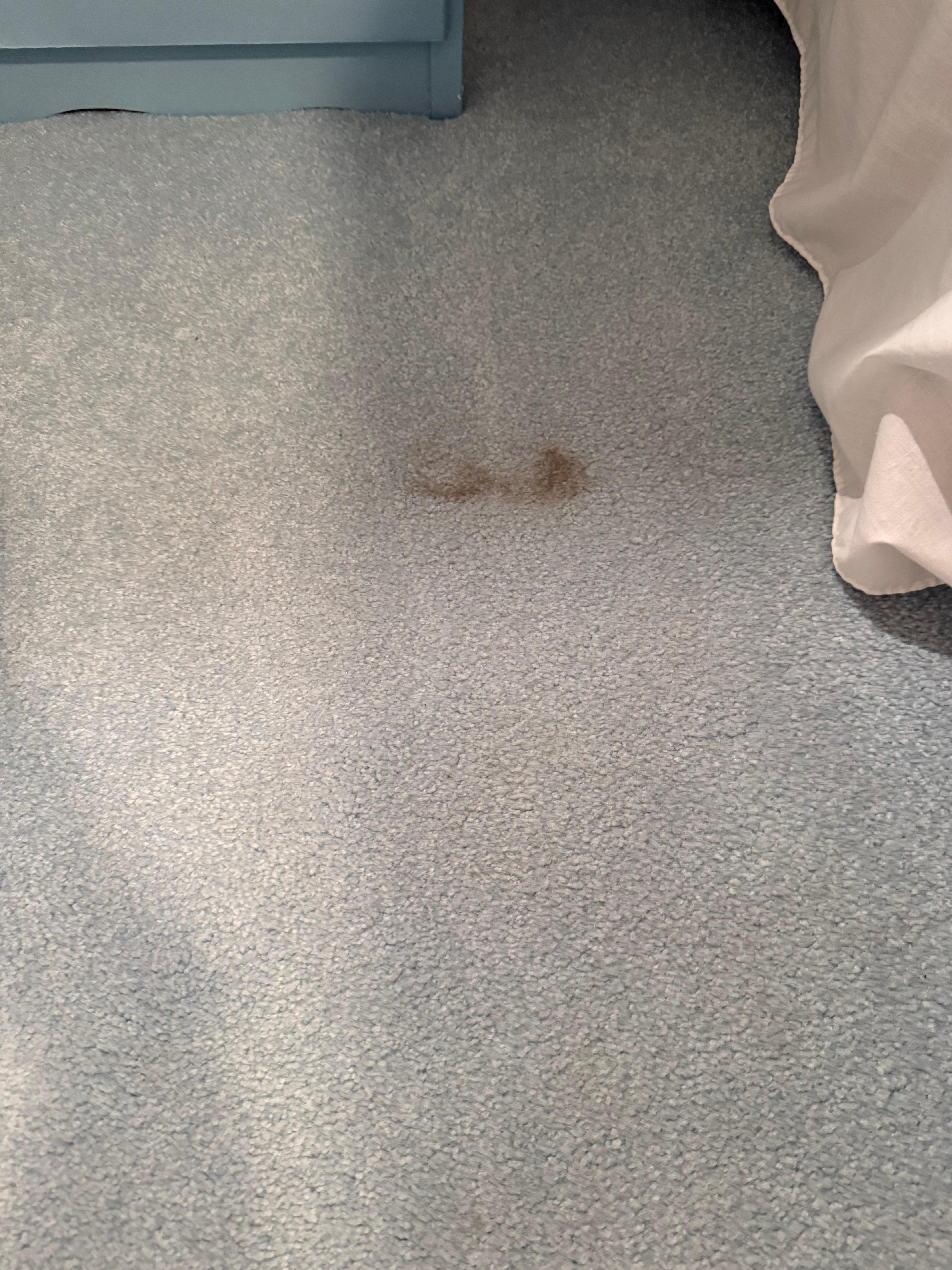 Carpet stains