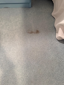 Carpet stains
