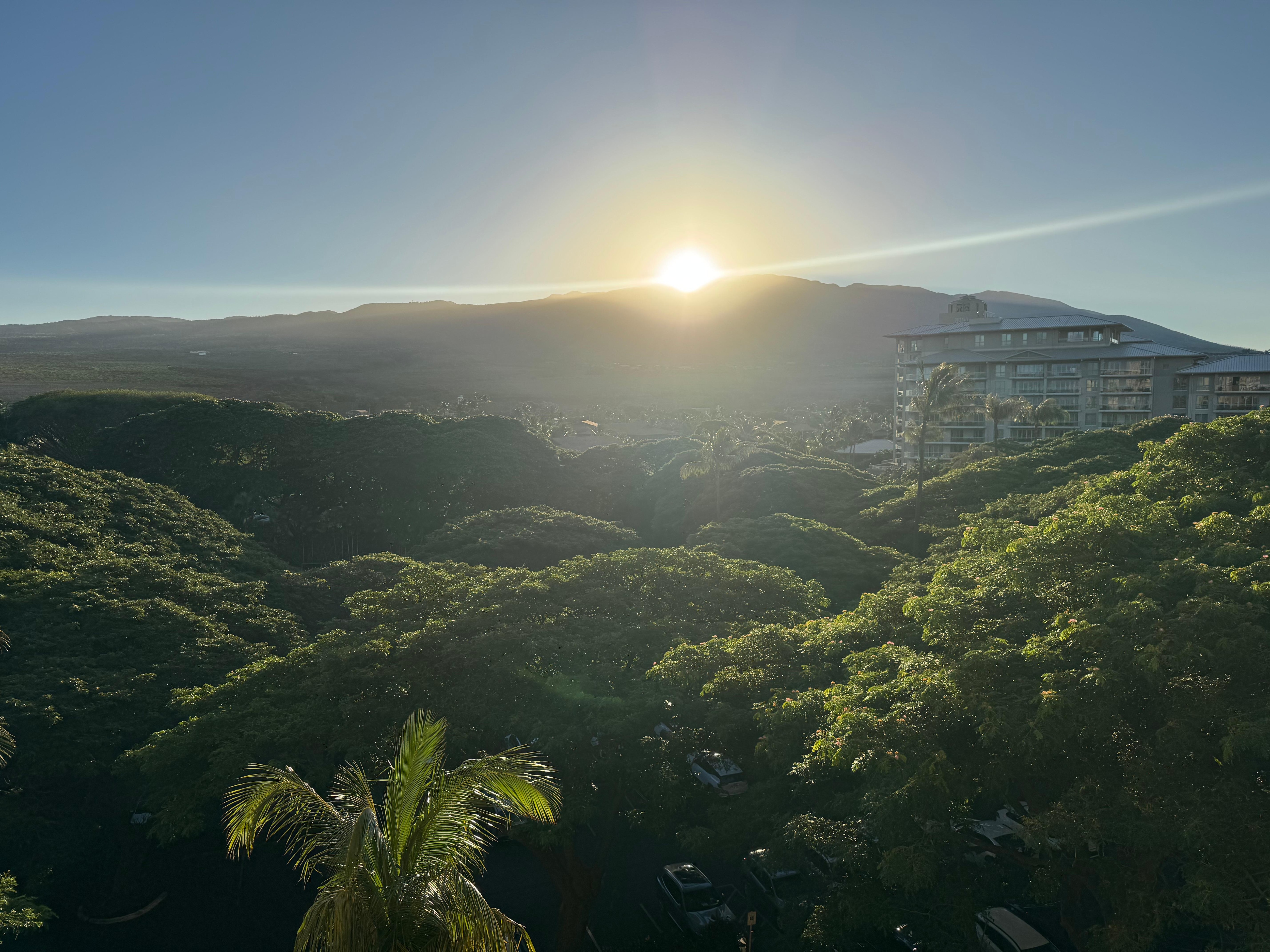View as you come out of the building from the unit