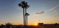 Atardecer