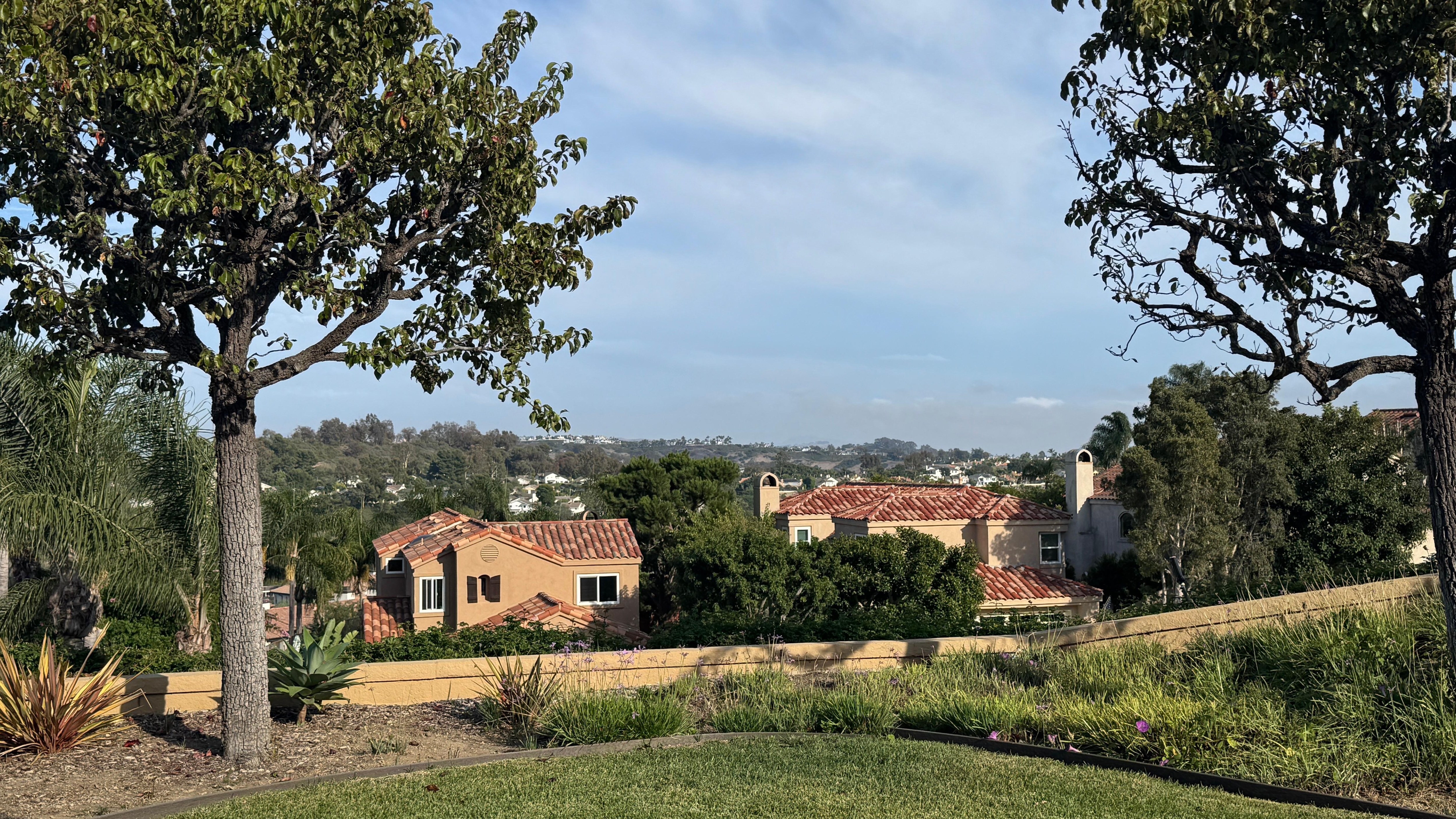 Another view from the back. 