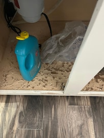 Under the kitchen sink