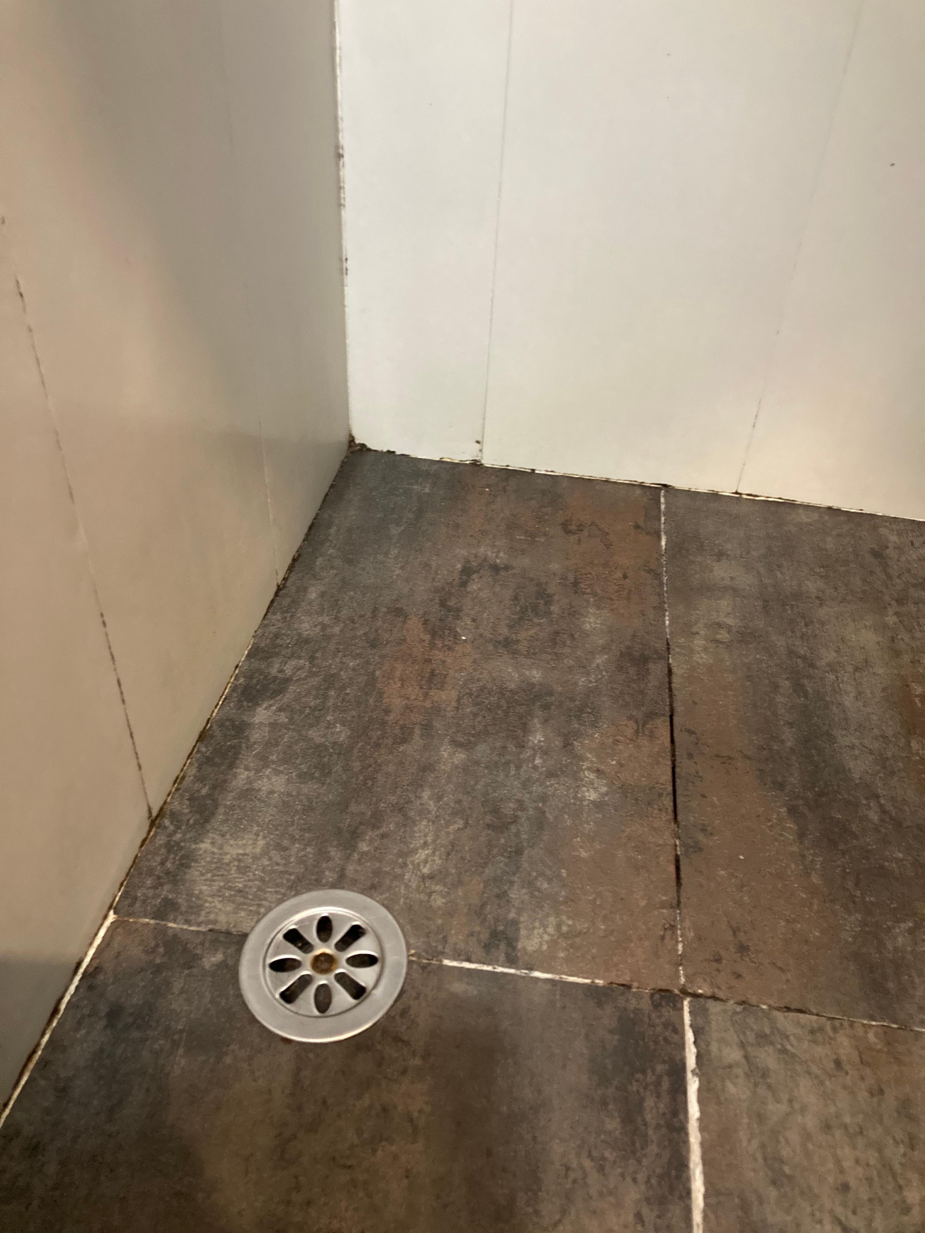 Ducha humedad y olor 