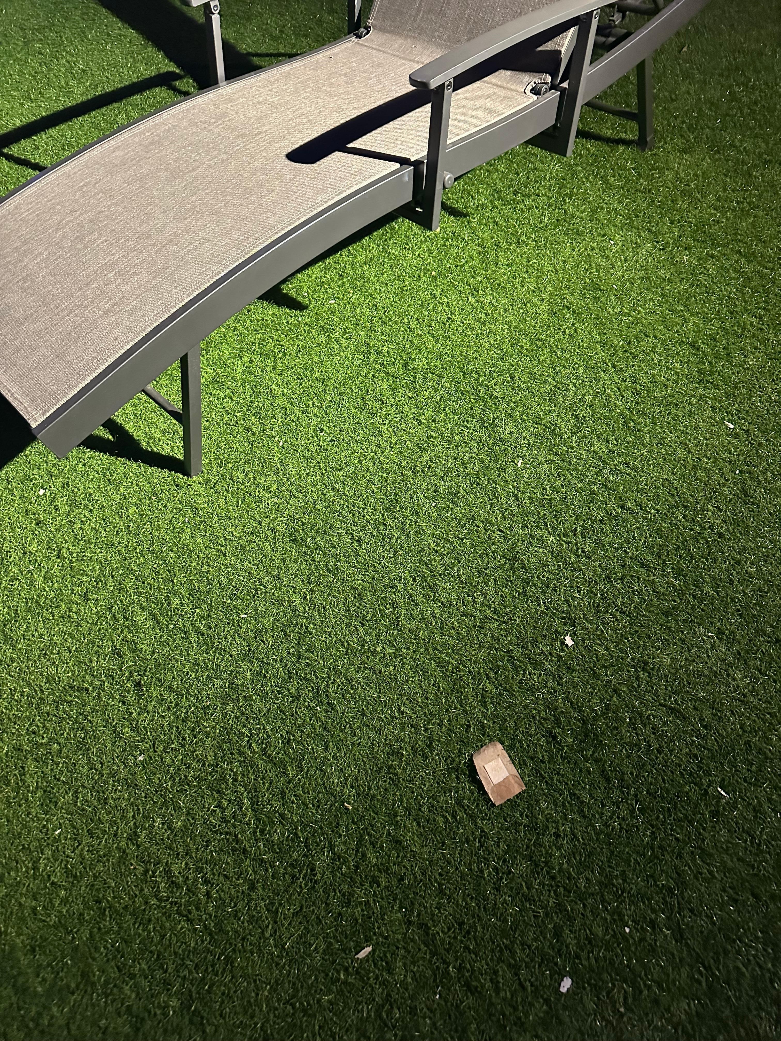 Large, used band-aid in the backyard