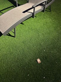 Large, used band-aid in the backyard